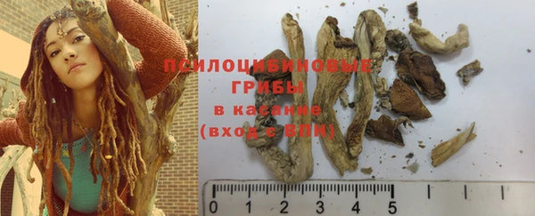 spice Алексеевка