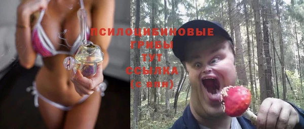ГАЛЛЮЦИНОГЕННЫЕ ГРИБЫ Киренск